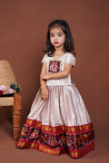 Patola fusion lehenga