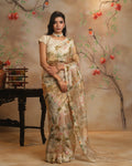 Tissue Saree