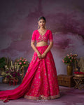 Rawsilk Embroidery lehanga